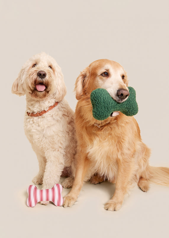 Green Sherpa + Red Striped Bone Shaped Plush Toy Bundle 8"