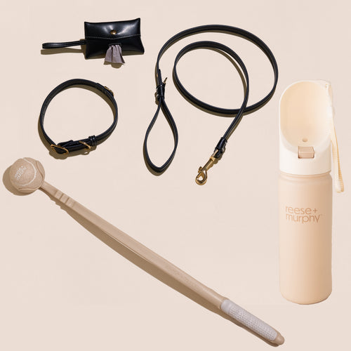 Walk Your Dog Bundle - Black